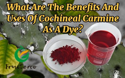 Quali sono i vantaggi e gli usi del carminio di cocciniglia come colorante?