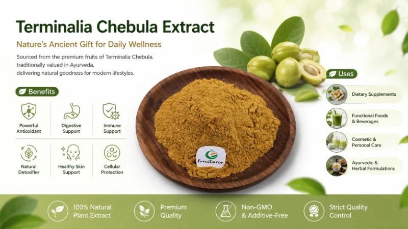 Terminalia Chebula Extract Terminalia Chebula Extract