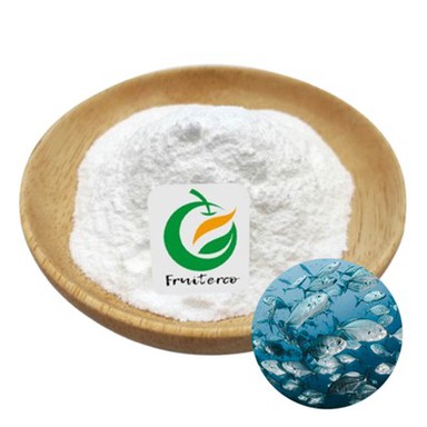 Polvere di collagene di pesce marino