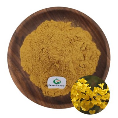 Polvere di estratto di Ginkgo Biloba
