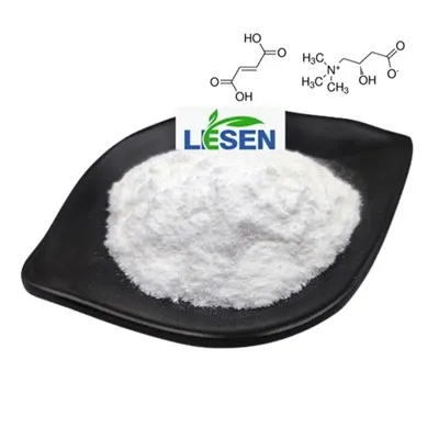 L carnitina fumata in polvere