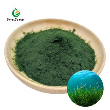 Polvere di spirulina organica